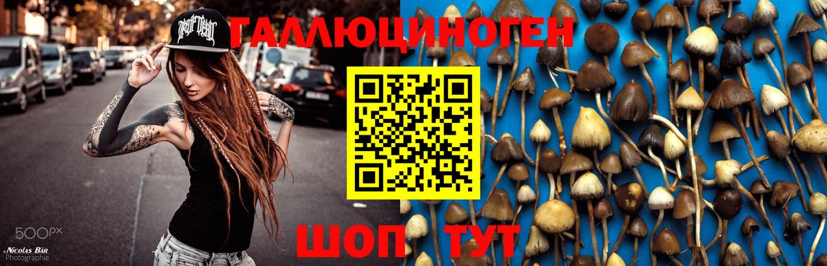 Псилоцибиновые грибы Magic Shrooms Великие Луки