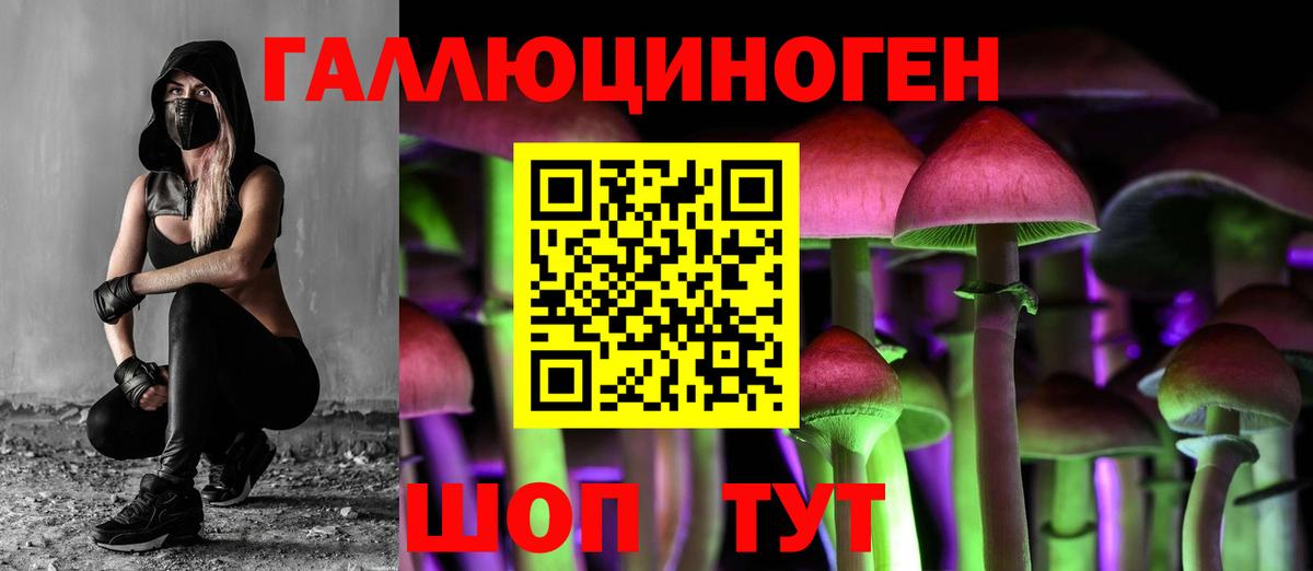 Великие Луки  Галлюциногенные грибы MAGIC MUSHROOMS  Вход с VPN  Псилоцибиновые грибы мицелий 